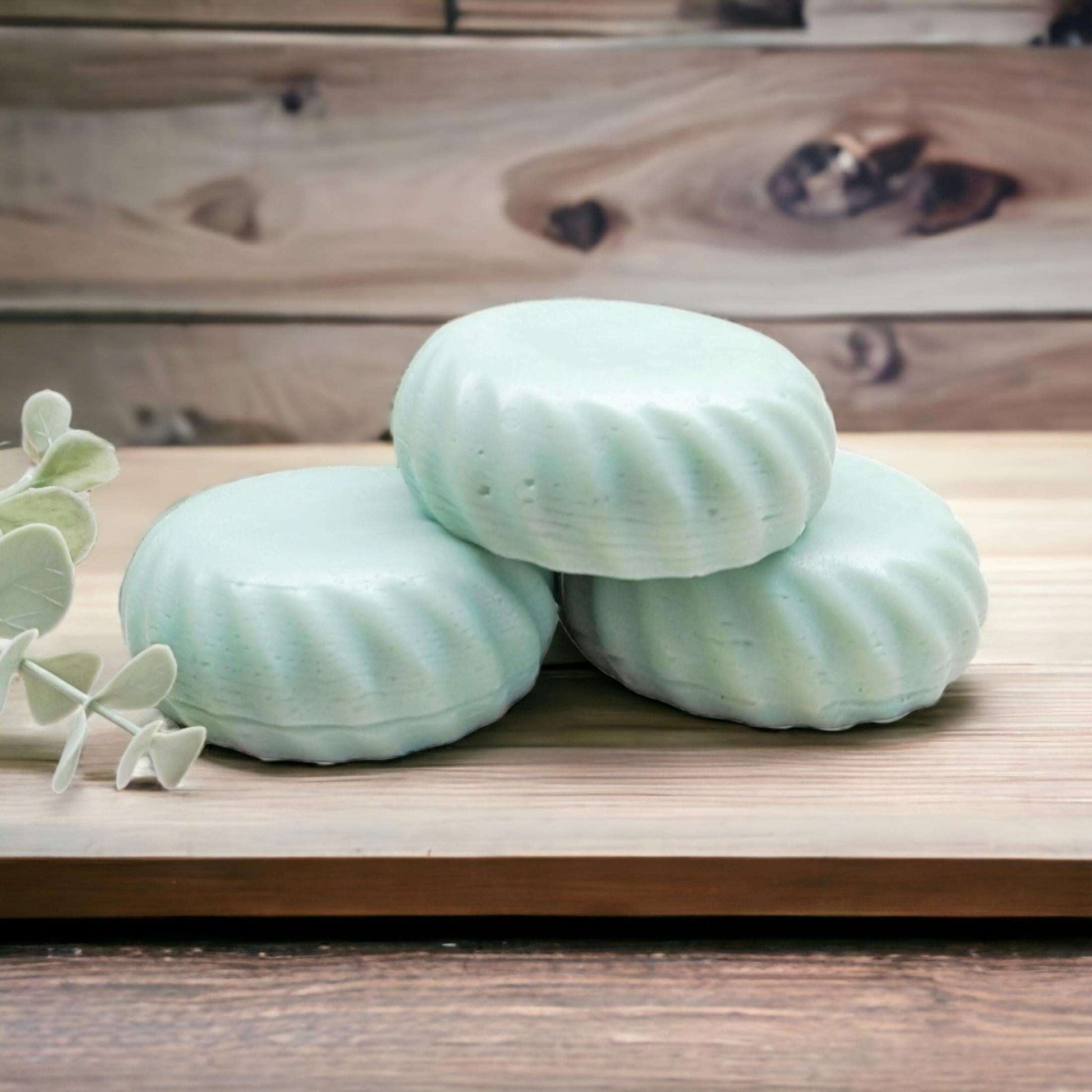 Natural Conditioner Bar for Oily Hair - PureBubs